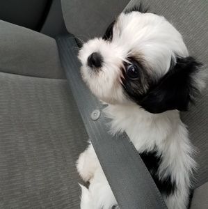 Meet your Posher, Jamie